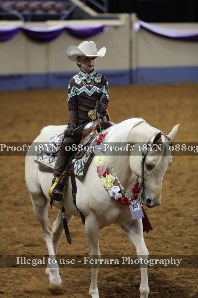 Proof 18YN_08803