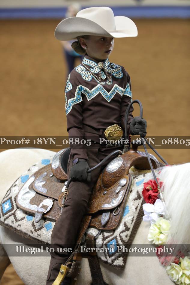 Proof 18YN_08805
