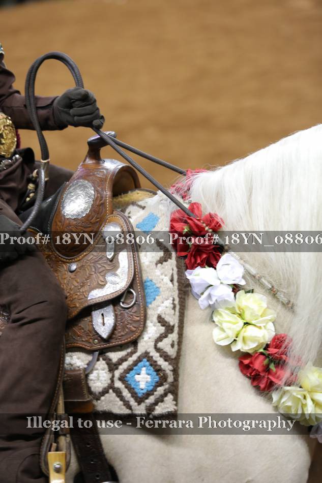 Proof 18YN_08806