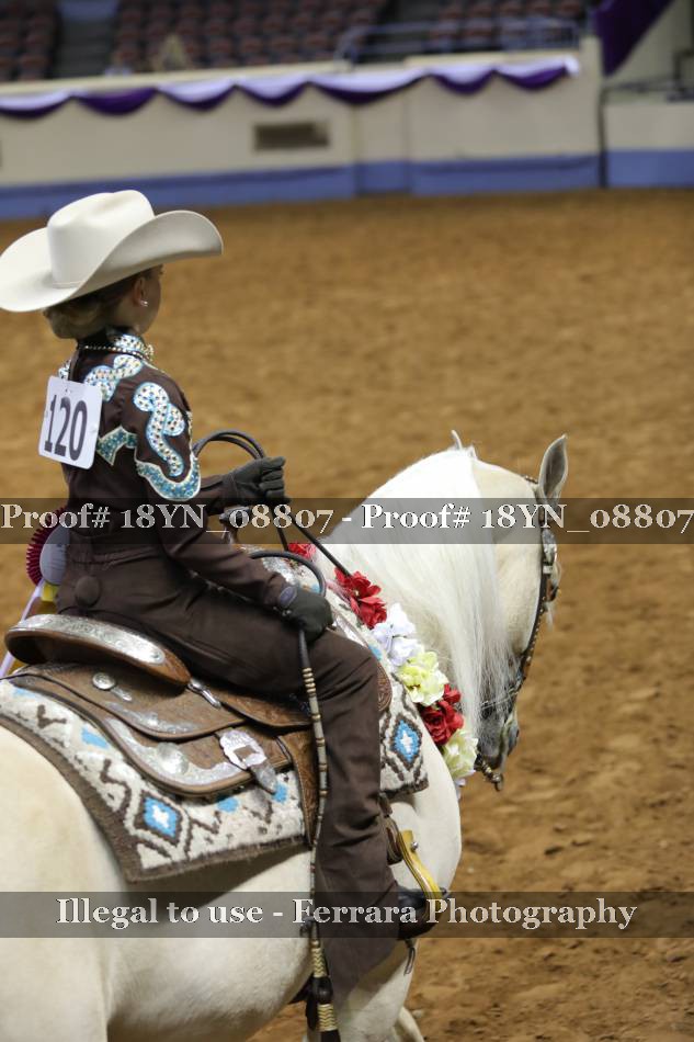 Proof 18YN_08807