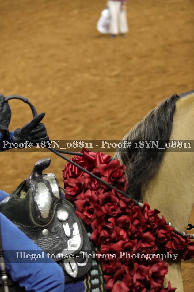 Proof 18YN_08811