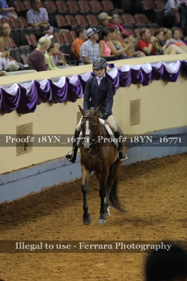 Proof 18YN_16771
