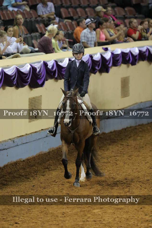 Proof 18YN_16772