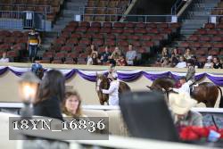 18YN_16836 proof