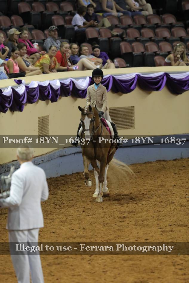 Proof 18YN_16837