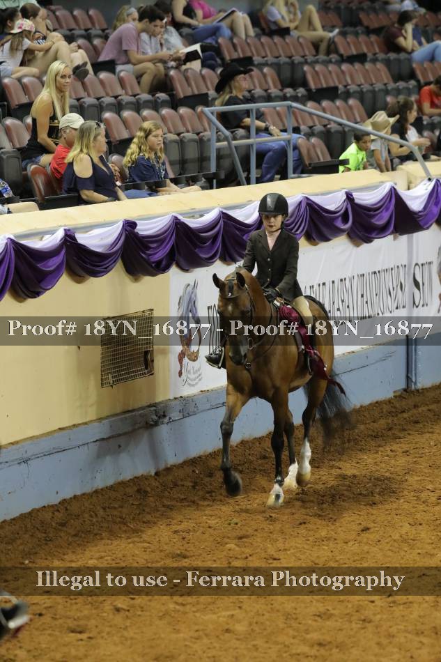 Proof 18YN_16877