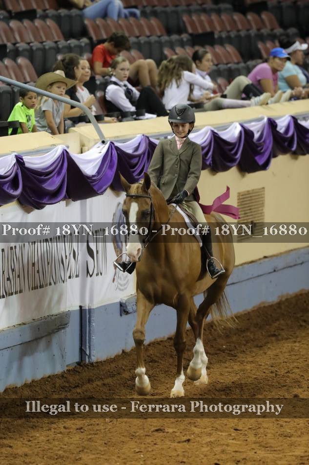 Proof 18YN_16880