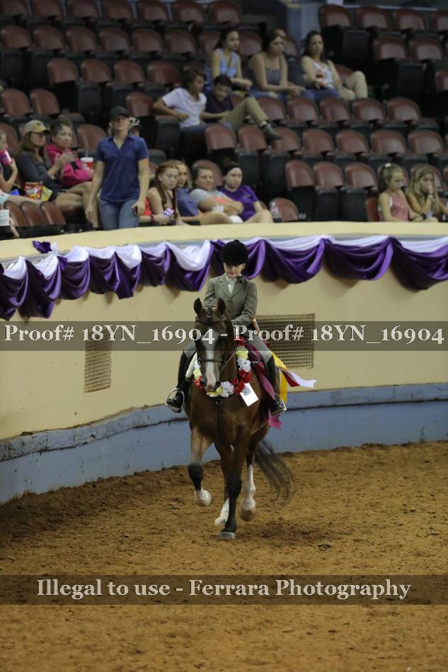Proof 18YN_16904