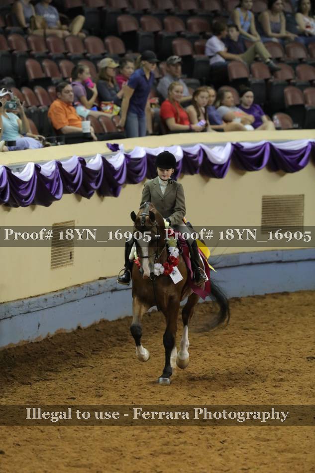 Proof 18YN_16905