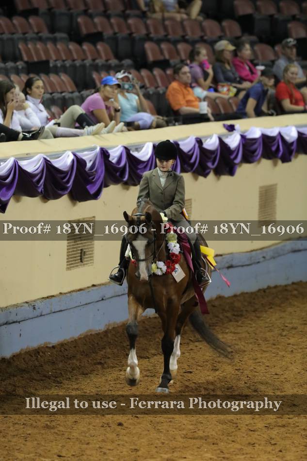 Proof 18YN_16906