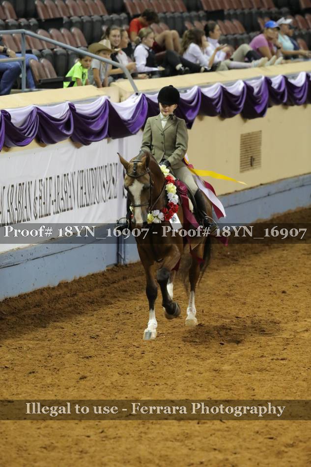 Proof 18YN_16907