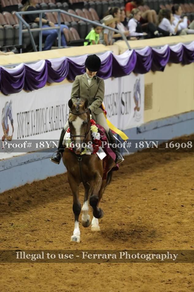 Proof 18YN_16908