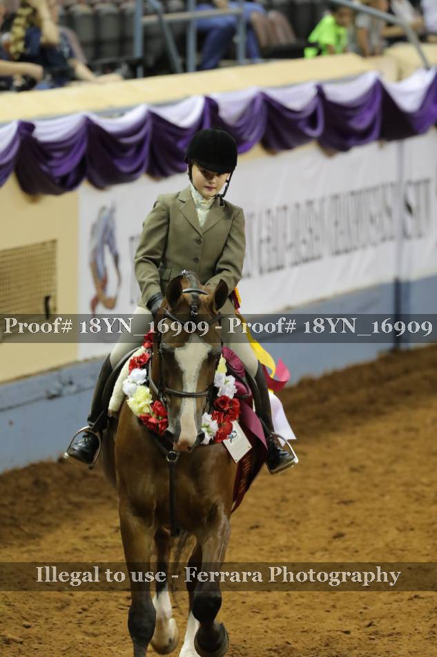 Proof 18YN_16909