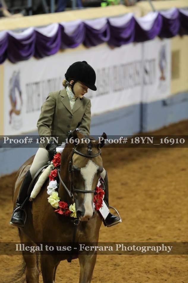 Proof 18YN_16910