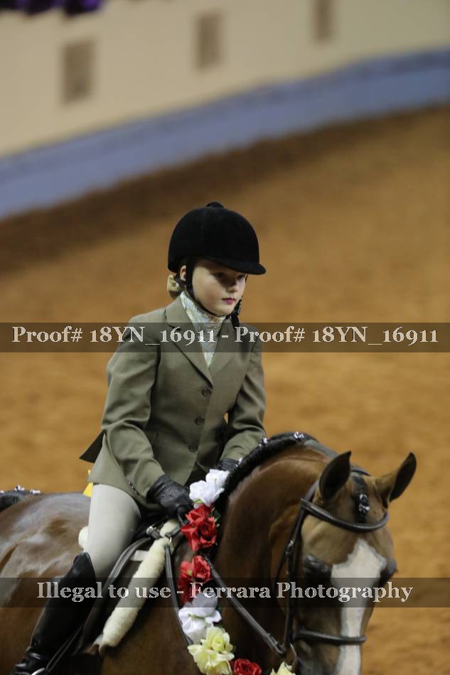 Proof 18YN_16911