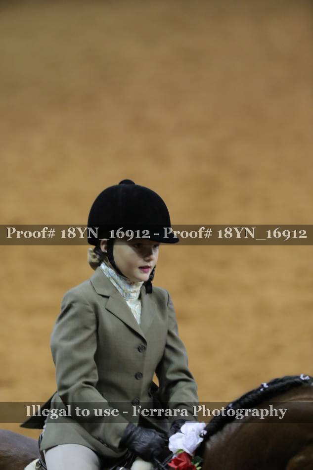 Proof 18YN_16912