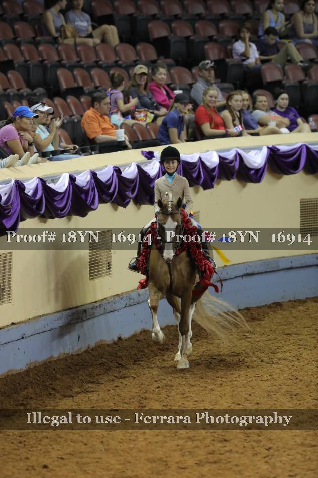Proof 18YN_16914