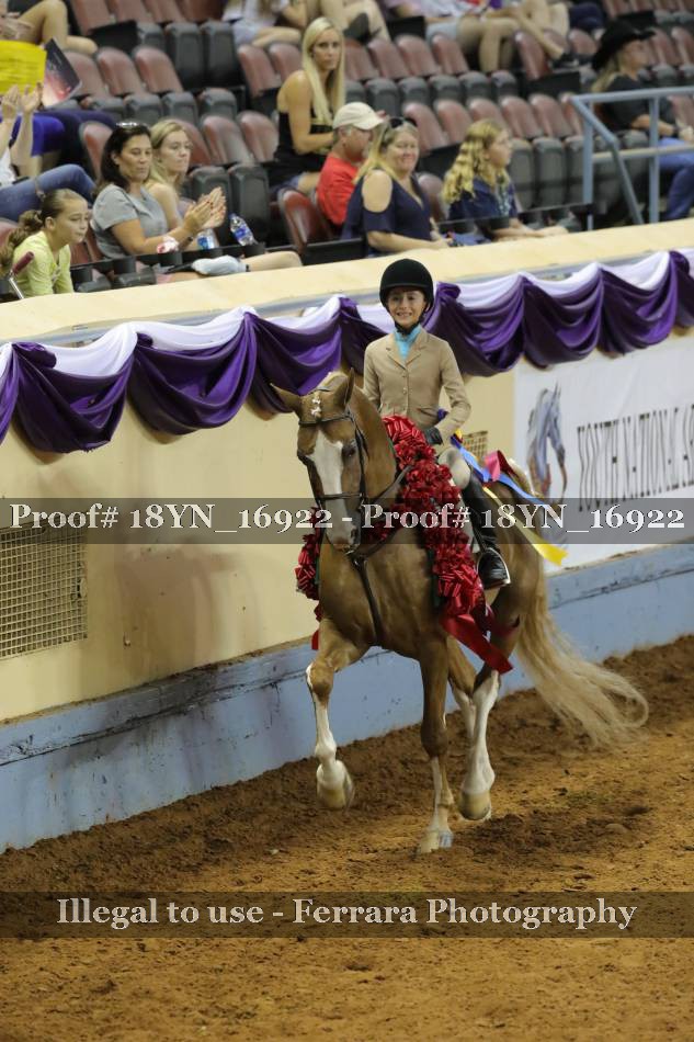 Proof 18YN_16922