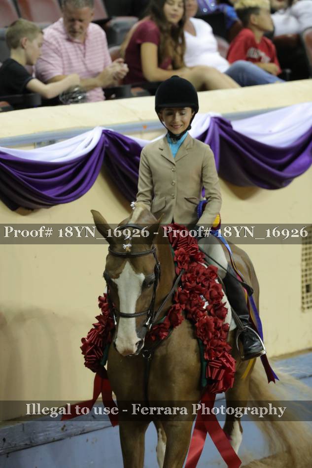 Proof 18YN_16926