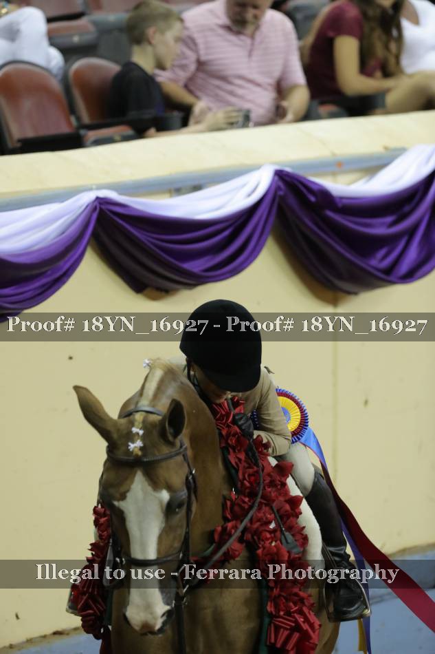 Proof 18YN_16927