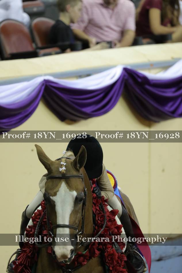 Proof 18YN_16928