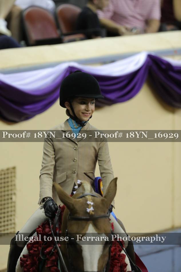Proof 18YN_16929