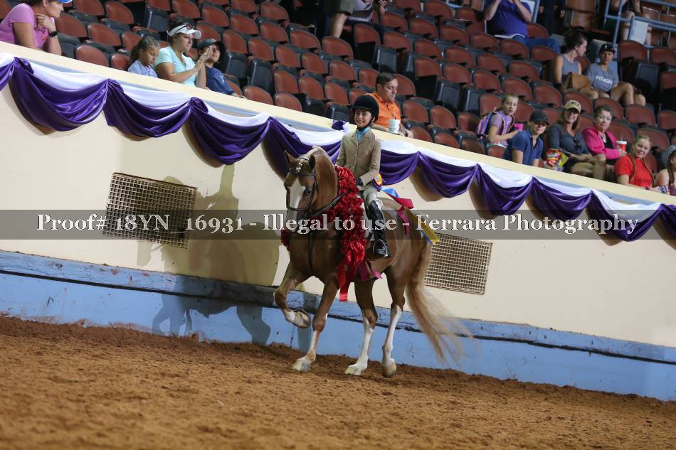 Proof 18YN_16931