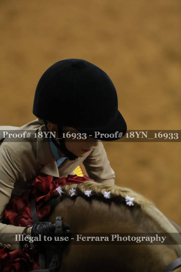 Proof 18YN_16933
