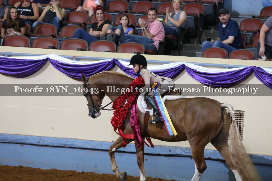 Proof 18YN_16943