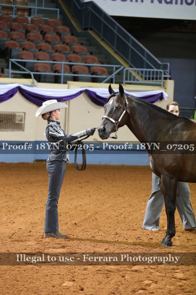 Proof 18YN_07205