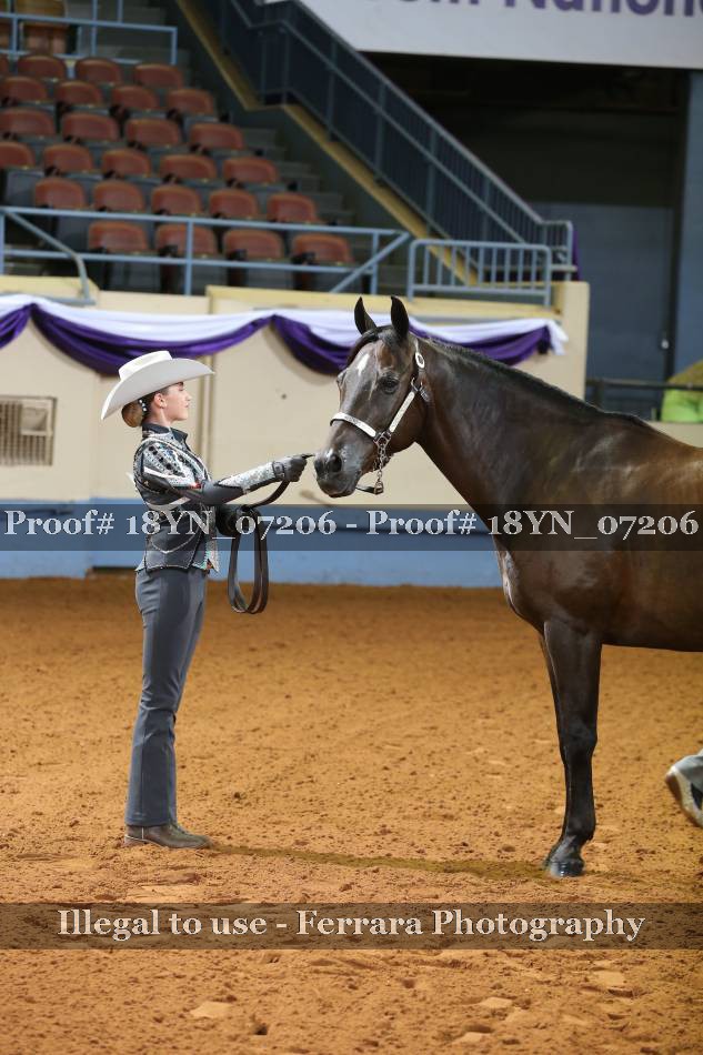 Proof 18YN_07206