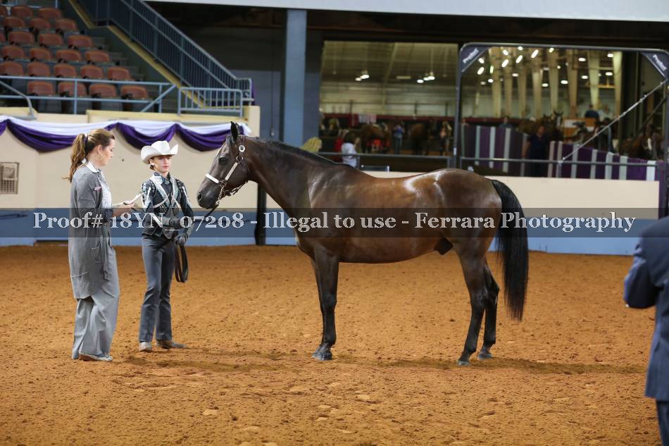 Proof 18YN_07208