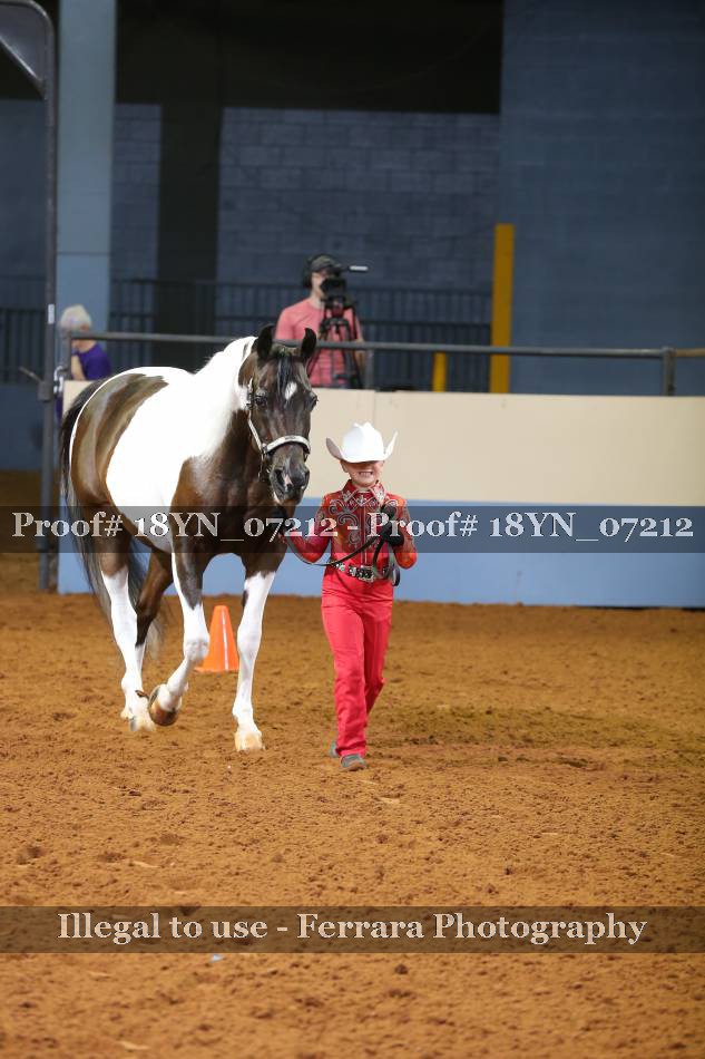 Proof 18YN_07212