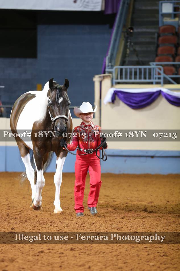 Proof 18YN_07213