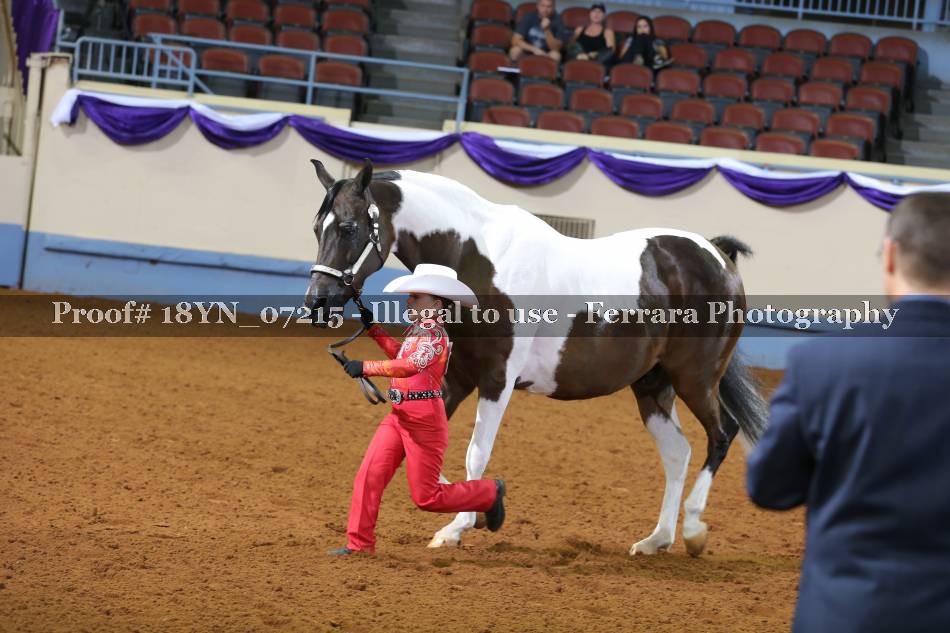Proof 18YN_07215