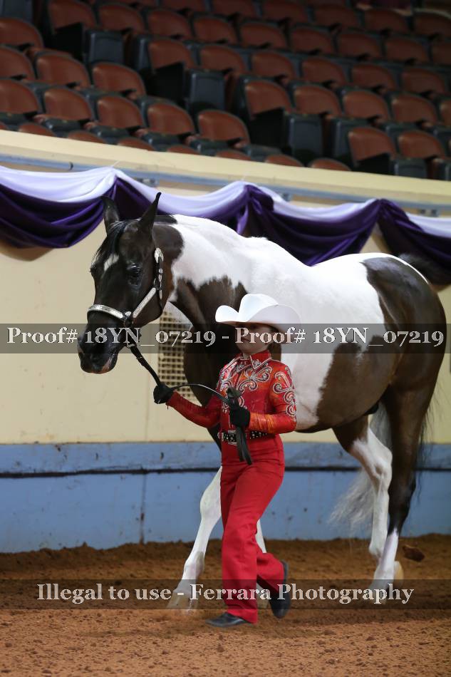 Proof 18YN_07219