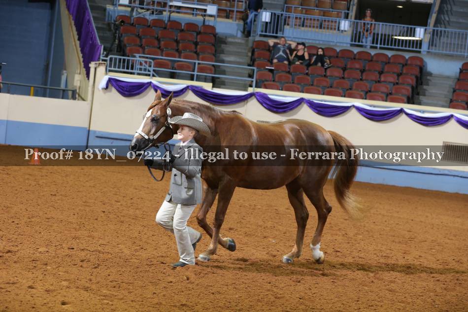 Proof 18YN_07224