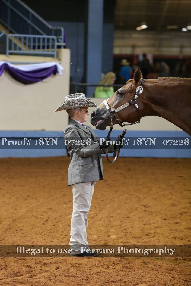 Proof 18YN_07228