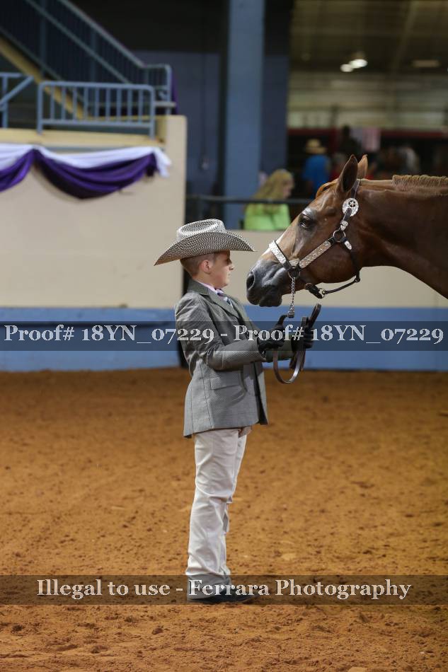 Proof 18YN_07229