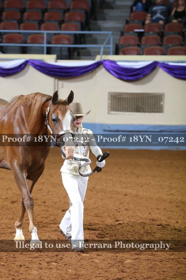 Proof 18YN_07242