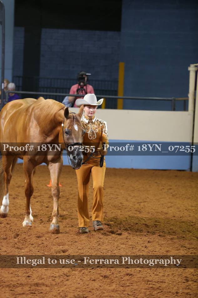 Proof 18YN_07255