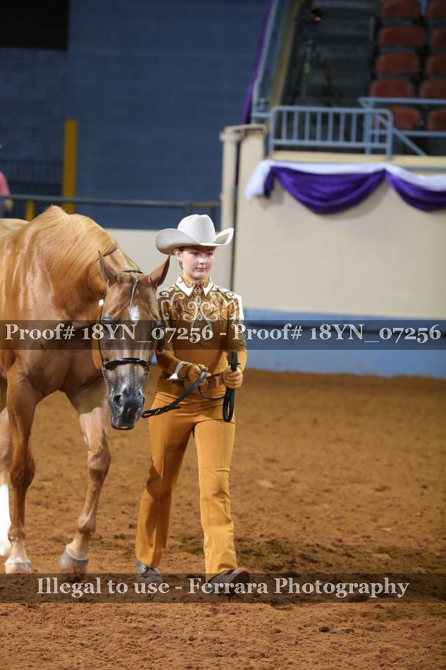 Proof 18YN_07256