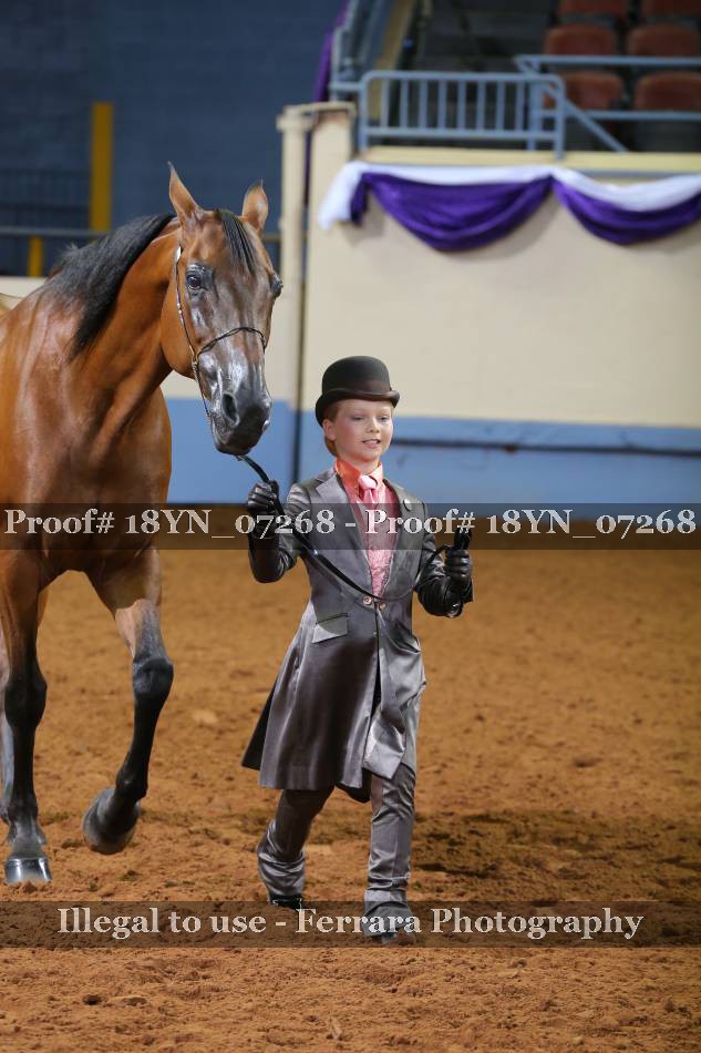 Proof 18YN_07268