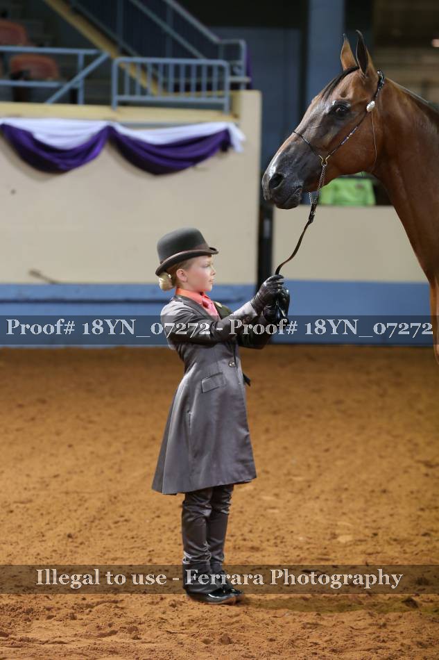 Proof 18YN_07272