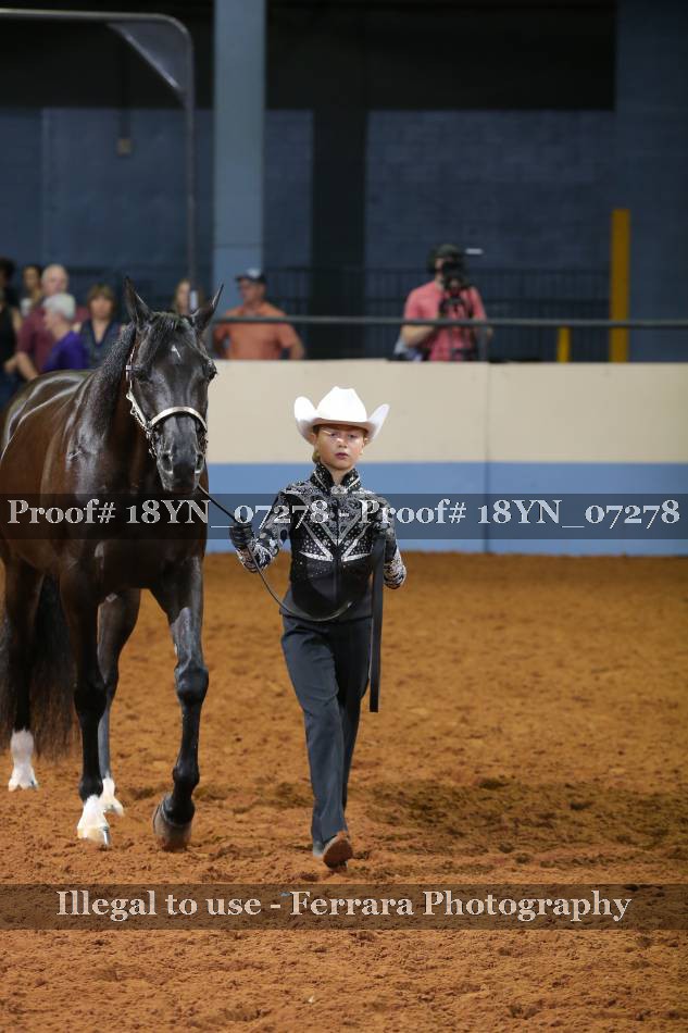 Proof 18YN_07278