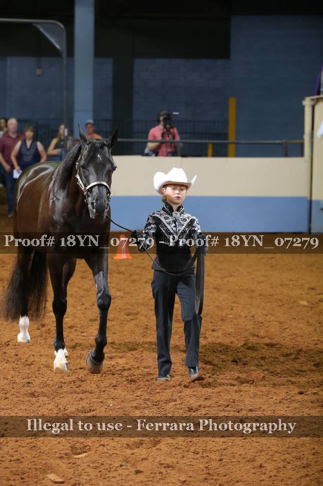 Proof 18YN_07279