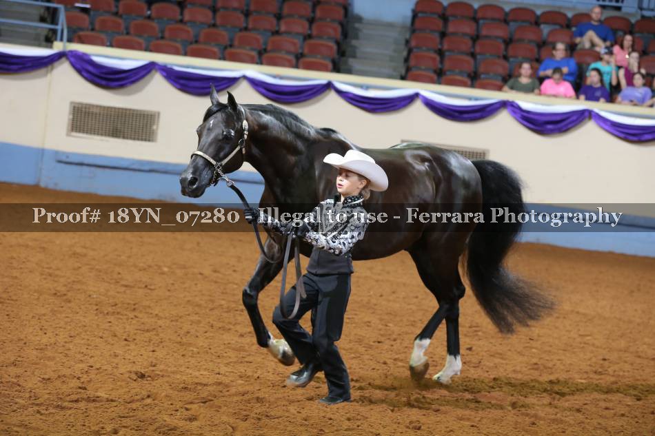 Proof 18YN_07280