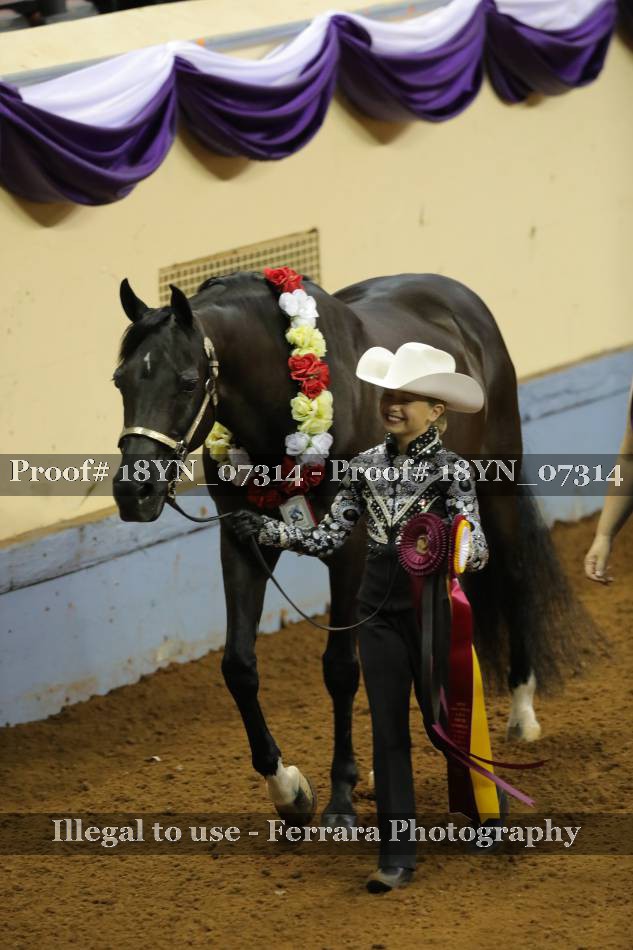 Proof 18YN_07314