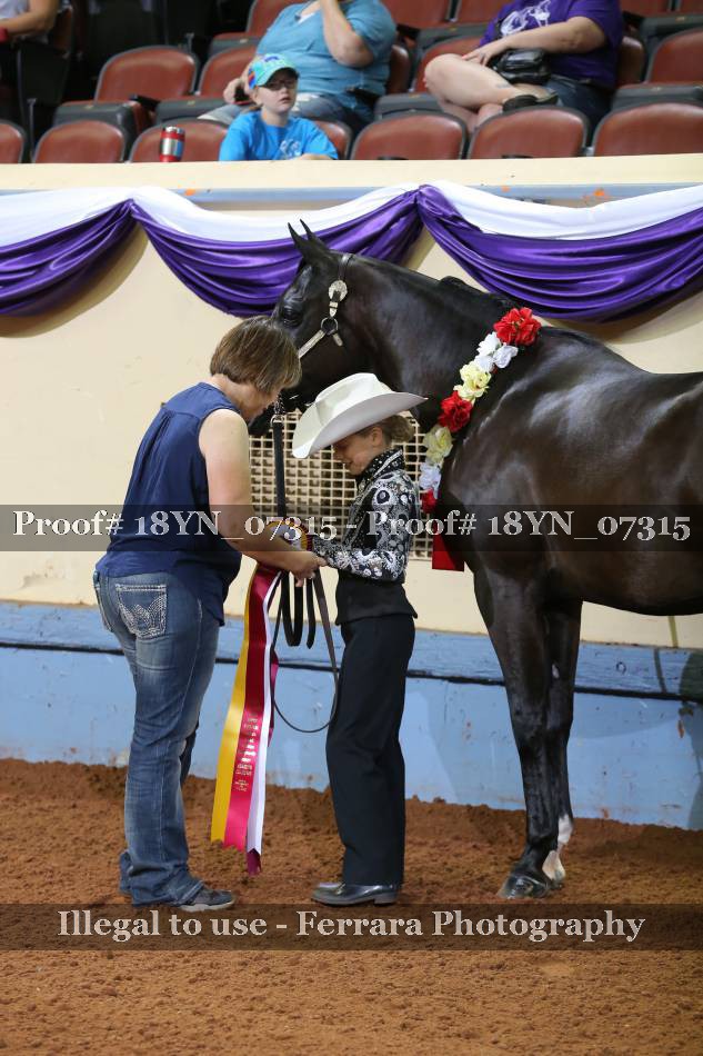 Proof 18YN_07315