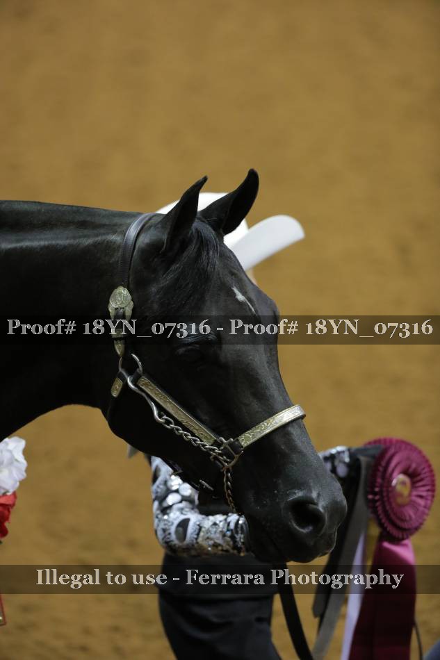 Proof 18YN_07316
